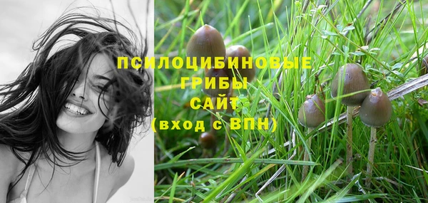 гидропоника Карталы