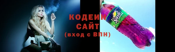соль ск Кодинск