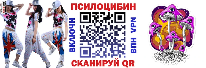 Псилоцибиновые грибы Cubensis наркошоп Светлоград