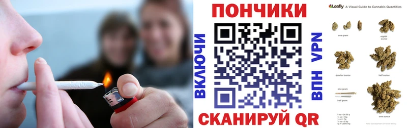 Шишки марихуана ГИДРОПОН  что такое   Светлоград 